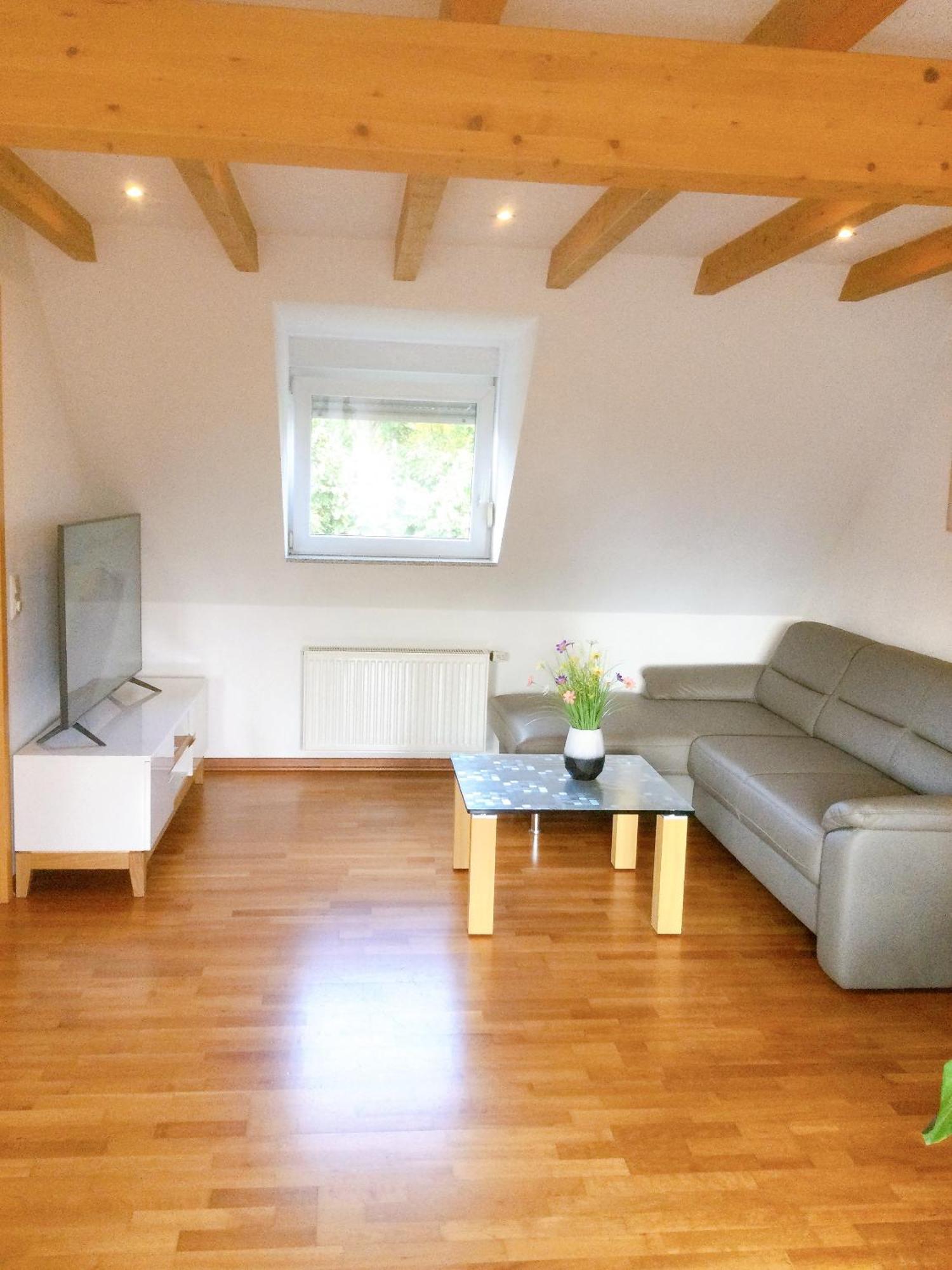 Wohnung Mit Stil 特罗斯多夫 外观 照片